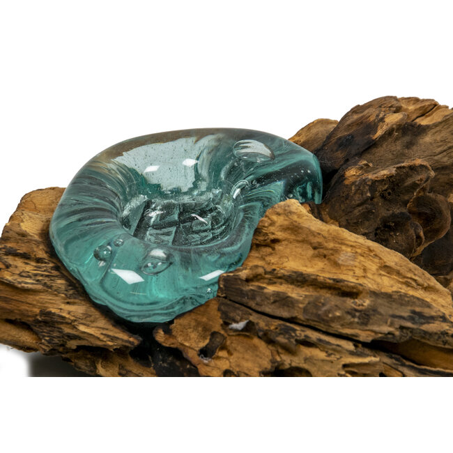 Voerbak / zandbad - Glas op Gamal wortel - 25 cm