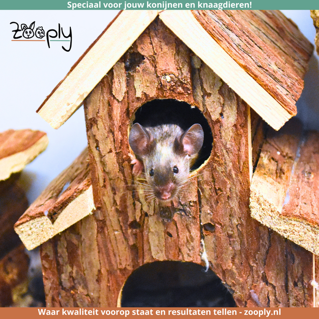Finn House with Steps - Small House for Dwarf Hamsters, Mice and Gerbils - 13 × 20 × 20 cm - Bark Wood