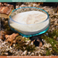 Gigan Garden & Deco Voerbak/Zandbad op Gamal Wortel - Decoratieve glazen bak voor knaagdieren - 15 cm