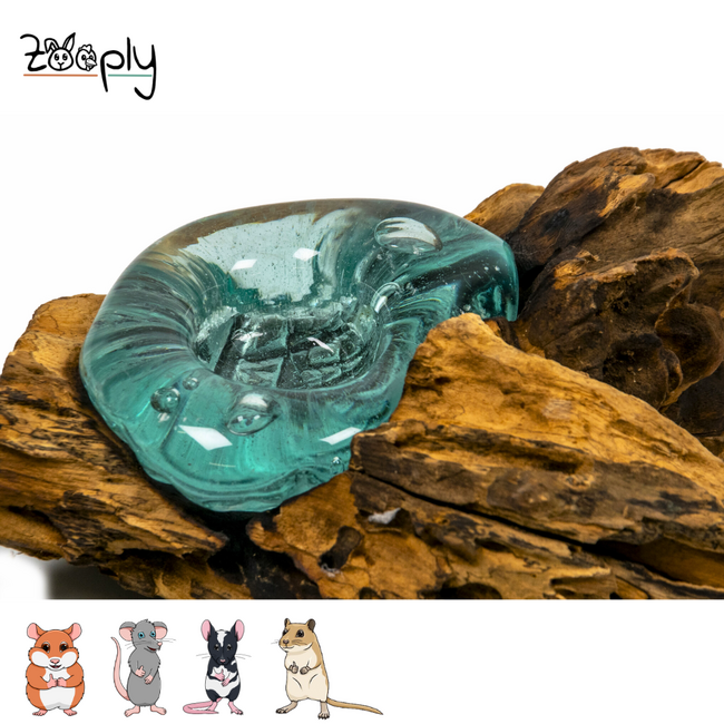 Gigan Garden & Deco Voerbak/Zandbad op Gamal Wortel - Decoratieve glazen bak voor knaagdieren - 25 cm