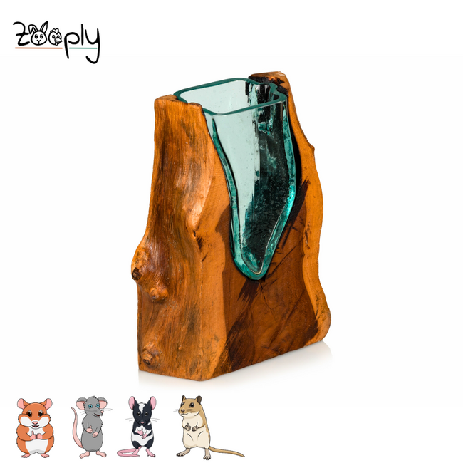 Gigan Garden & Deco Graafbak/Zandbad op Gamal Wortel - Decoratieve glazen graafbak voor knaagdieren