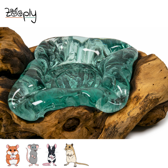 Gigan Garden & Deco Voerbak/Zandbad op Gamal Wortel - Decoratieve glazen bak voor knaagdieren