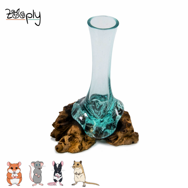 Gigan Garden & Deco Bloemenhouder op Gamal Wortel - Decoratieve glazen bloemenhouder - 25 cm