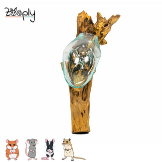 Gigan Garden & Deco Digging Box / Sand Bath - Glass on Gamal Trunk - 20 cm