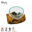 Gigan Garden & Deco Voerbak/Zandbad op Gamal Wortel - Decoratieve glazen bak voor knaagdieren - 15 cm