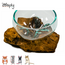 Gigan Garden & Deco Voerbak/Zandbad op Gamal Wortel - Decoratieve glazen bak voor knaagdieren - 15 cm
