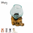 Gigan Garden & Deco Graafbak/Zandbad op Gamal Wortel - Decoratieve glazen graafbak voor knaagdieren - 12 cm