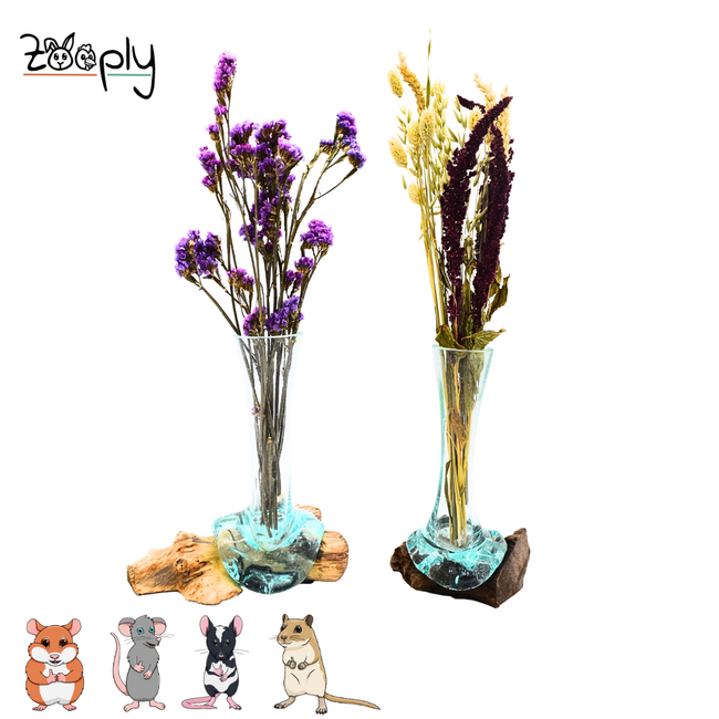 Gigan Garden & Deco Bloemenhouder op Gamal Wortel - Decoratieve glazen bloemenhouder - 25 cm