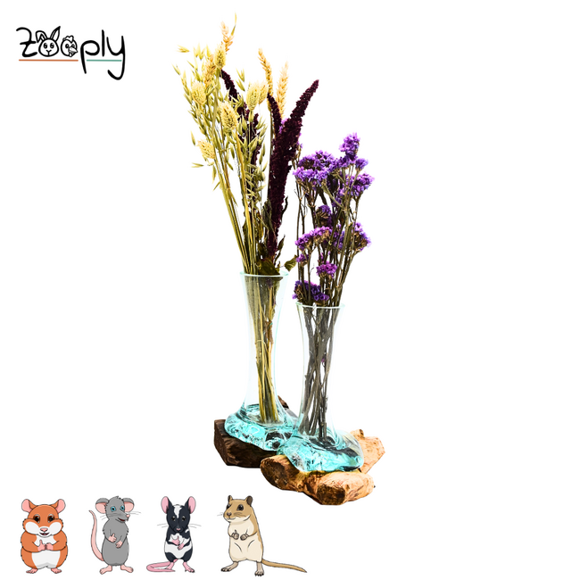 Gigan Garden & Deco Bloemenhouder op Gamal Wortel - Decoratieve glazen bloemenhouder - 25 cm