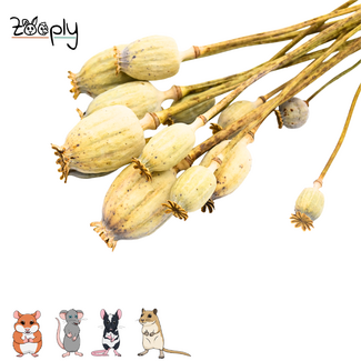 Zooply Poppy - 70 grams