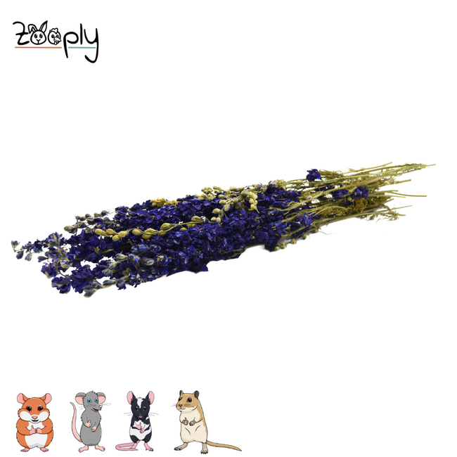 Zooply Ridderspoor Blauw - Gedroogde bloemen en grassen voor hamsters en andere knaagdieren - 70 gram