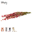 Zooply Ridderspoor Roze - Gedroogde bloemen en grassen voor hamsters en andere knaagdieren - 70 gram