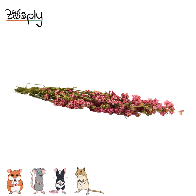 Zooply Ridderspoor Roze - Gedroogde bloemen en grassen voor hamsters en andere knaagdieren - 70 gram