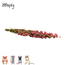 Zooply Pink Larkspur - Dried Flowers for Hamsters and Other Rodents - 70 grams