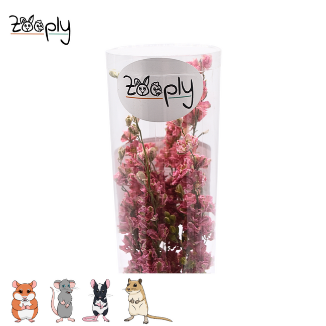 Zooply Ridderspoor Roze - Gedroogde bloemen en grassen voor hamsters en andere knaagdieren - 70 gram