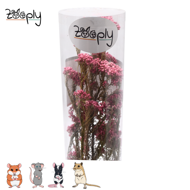 Zooply Duizendblad - Gedroogde bloemen en grassen voor hamsters en andere knaagdieren - 70 gram