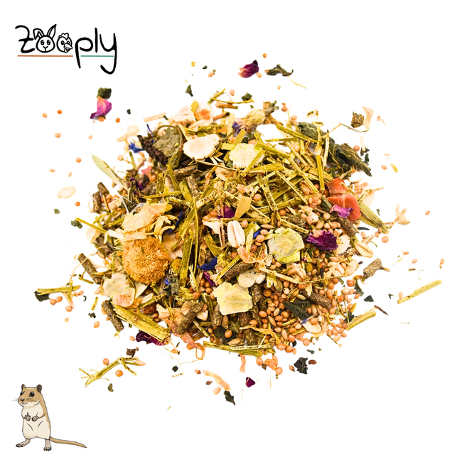 Zooply Gerbilvoer - Speciale voeding voor gerbils - Verpakt in hersluitbare zak- 2,5 kg
