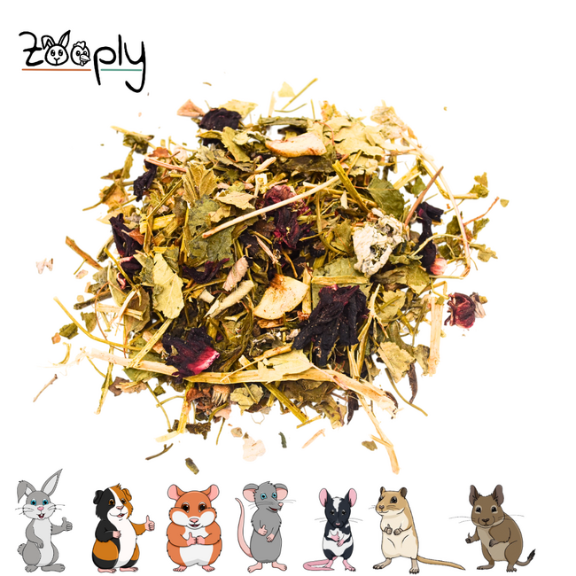 Zooply Fruit & Kruidenmix - Lovely and Healthy Treat for Rabbits, Guinea Pigs and Rodents - 500 grams