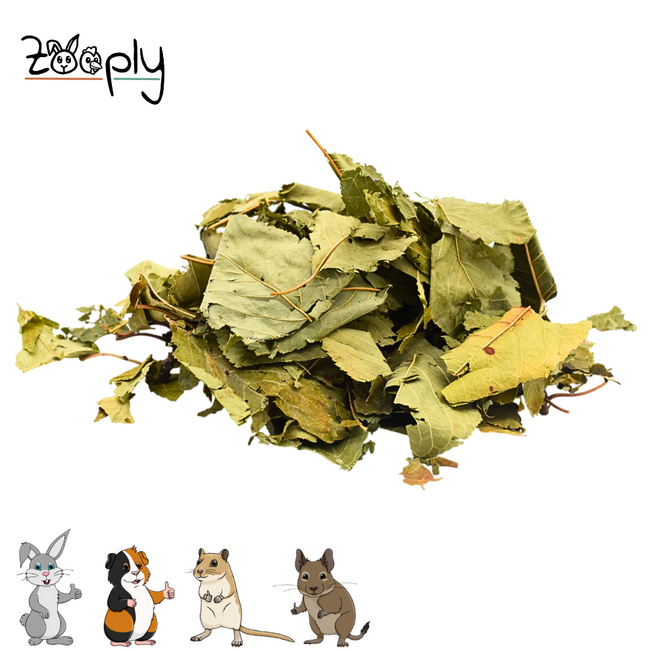 Zooply Kersenblad - Gedroogd(e) blad voor konijnen, cavia's en knaagdieren - 300 gram