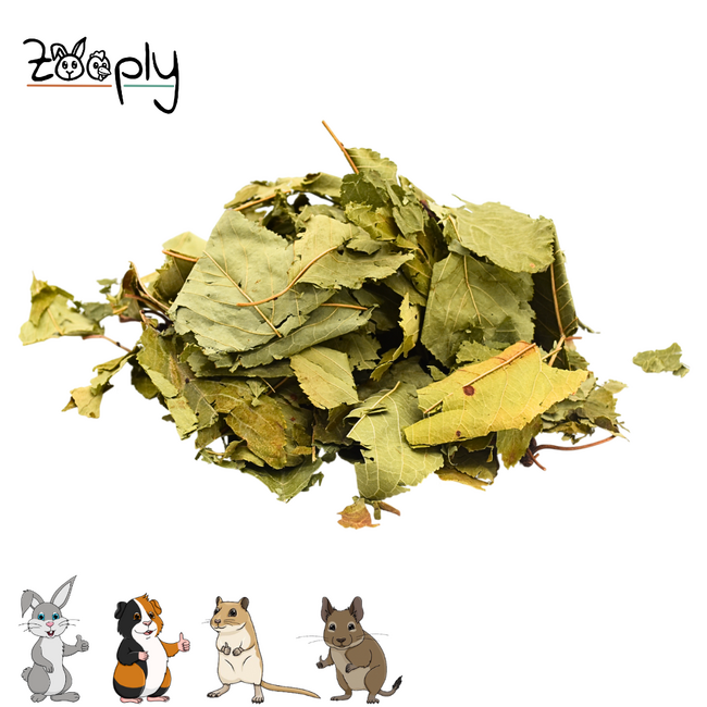 Zooply Kersenblad - Gedroogd(e) blad voor konijnen, cavia's en knaagdieren - 300 gram