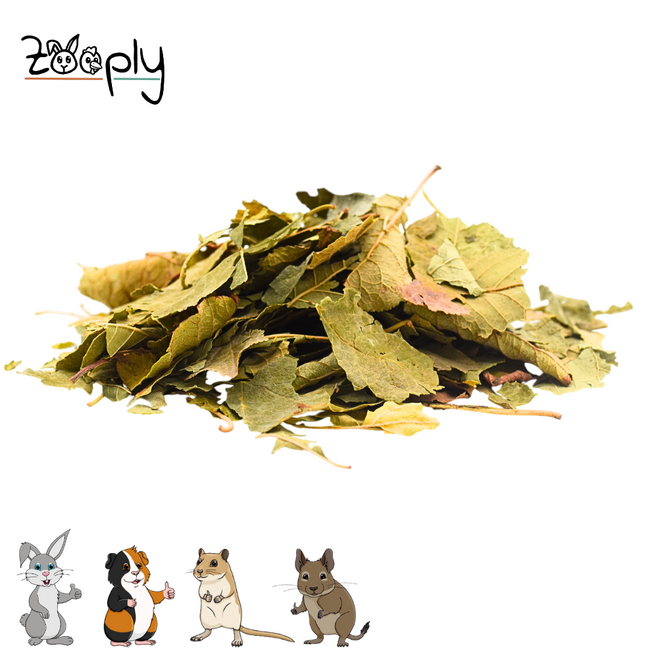 Zooply Pruimenblad - Gedroogd(e) blad voor konijnen, cavia's en knaagdieren - 350 gram