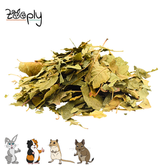 Zooply Pruimenblad - 350 gram