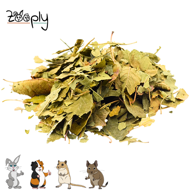 Zooply Pruimenblad - Gedroogd(e) blad voor konijnen, cavia's en knaagdieren - 350 gram