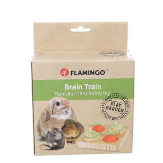 Flamingo Brain Train Speelgoed
