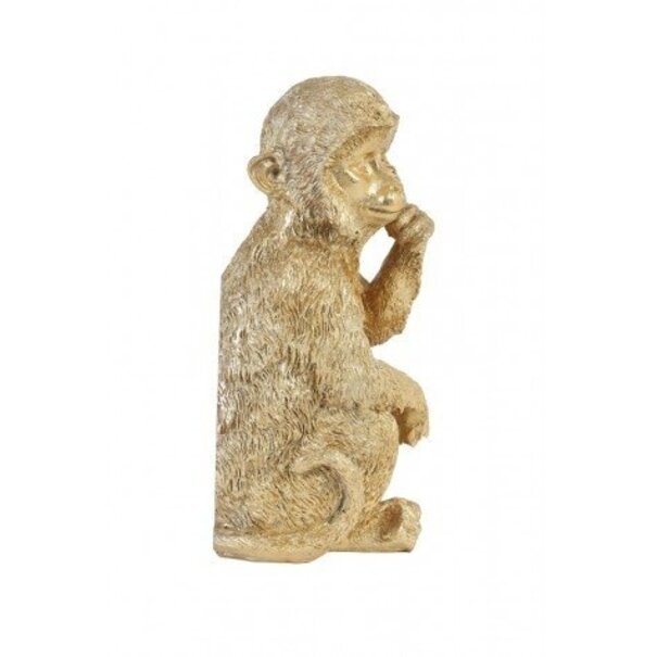 Light en Living Wandornament Aap 19,5 cm Goud van Light & Living