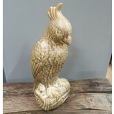 Ornament Vogel Papegaai 12x11x28,5 cm Glanzend Olijfgroen