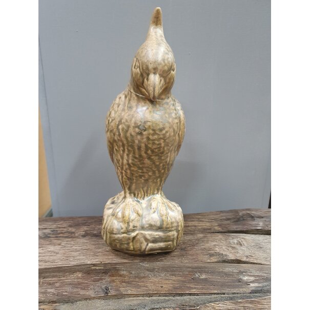 Light en Living Ornament Vogel Papegaai 12x11x28,5 cm Glanzend Olijfgroen