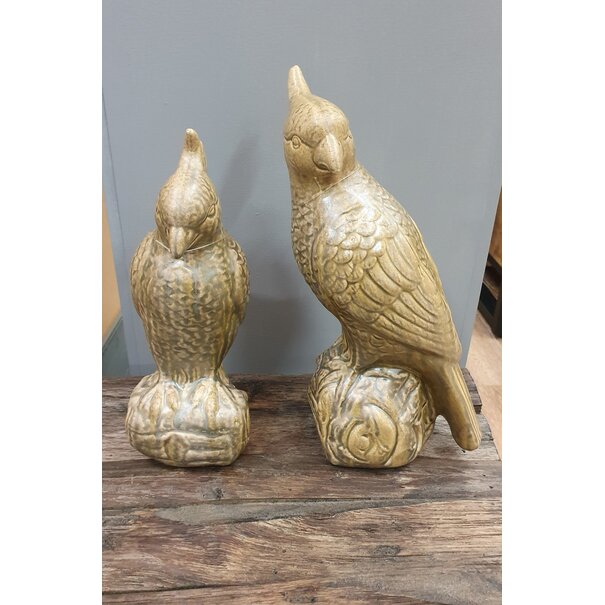 Light en Living Ornament Vogel Papegaai 12x11x28,5 cm Glanzend Olijfgroen