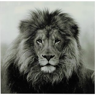 Schilderij Leeuw Wild life 80 x 80 cm