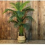 Kunstplant Areca L groen 160 cm