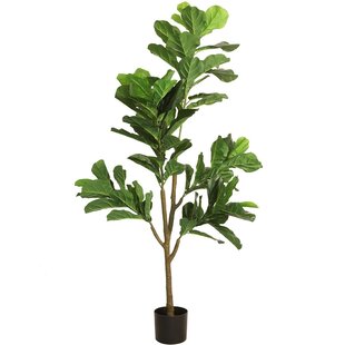 Kunstplant Ficus lyrata