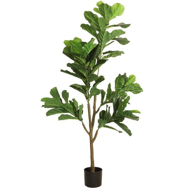 Countryfield Countryfield Kunstplant Ficus lyrata groen - Diverse afmetingen