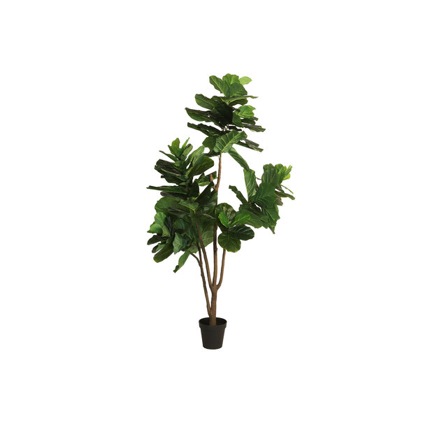 Countryfield Countryfield Kunstplant Ficus lyrata groen - Diverse afmetingen