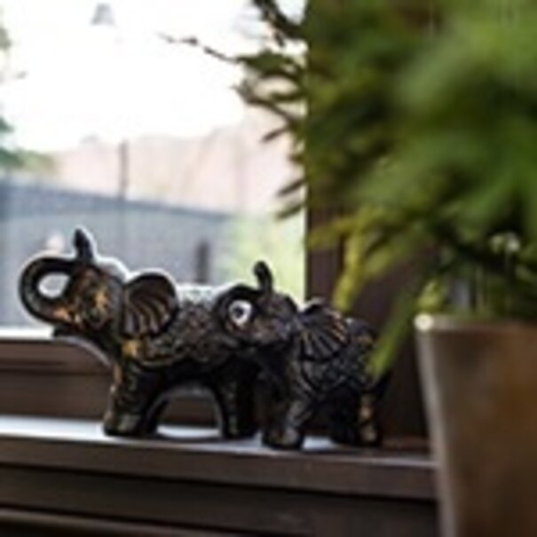 Countryfield Olifant Novi zwart