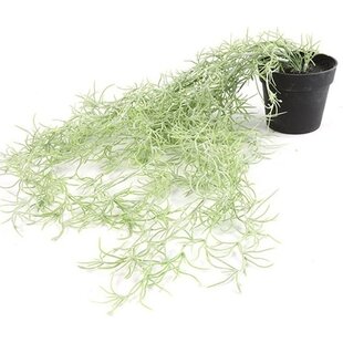Kunstplant Tillandsia groen
