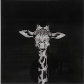 Schilderij Makela zwart vierkant - Stijlvolle giraffe wanddecoratie