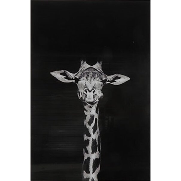 Countryfield Schilderij Makela zwart rechthoek - Glaskunst Giraffe