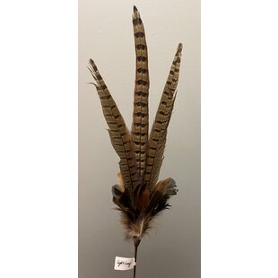 Ornament Ø15x60 cm PHEASENT donker  bruin