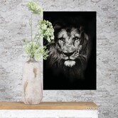 Schilderij Leeuw Musafa L Zwart - Glazen Muurdecoratie