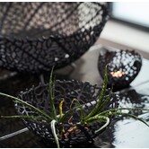 Schaal Ø46x18 cm GALAXA mat zwart