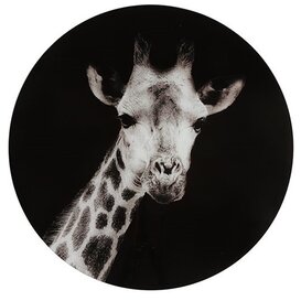 Schilderij Mocambo L zwart/wit rond