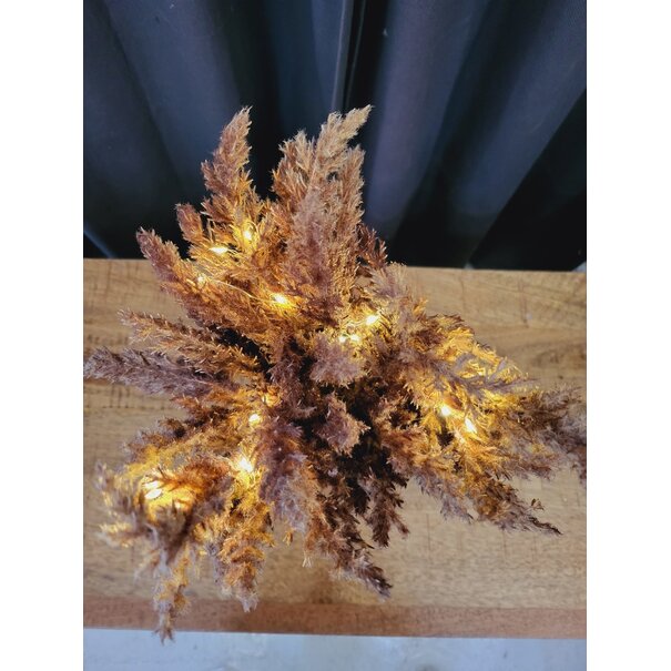 Countryfield Astilbe boeket met LED verlichting donkerbruin