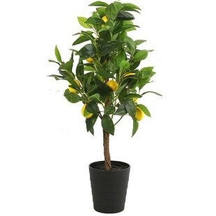 Kunstplant Citrus Limon geel 75 cm hoog