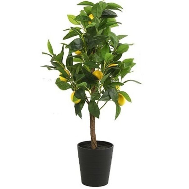 Countryfield Kunstplant Citrus Limon geel 75 cm hoog