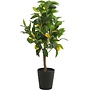 Kunstplant Citrus Limon geel 75 cm hoog