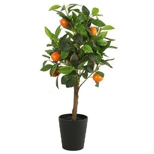 Kunstplant Citrus Sinaasappel oranje 75 cm hoog
